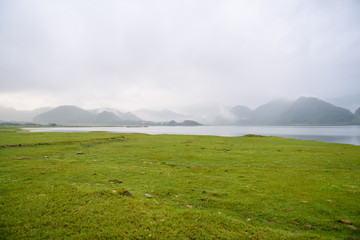 什么是生物的种和界?